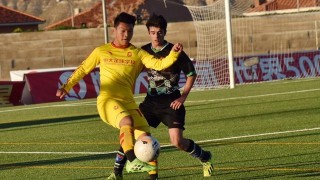  帕尔马青训成果显，小将助攻书写新篇章